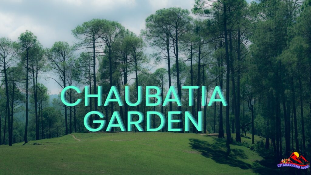 Chaubatia Garden