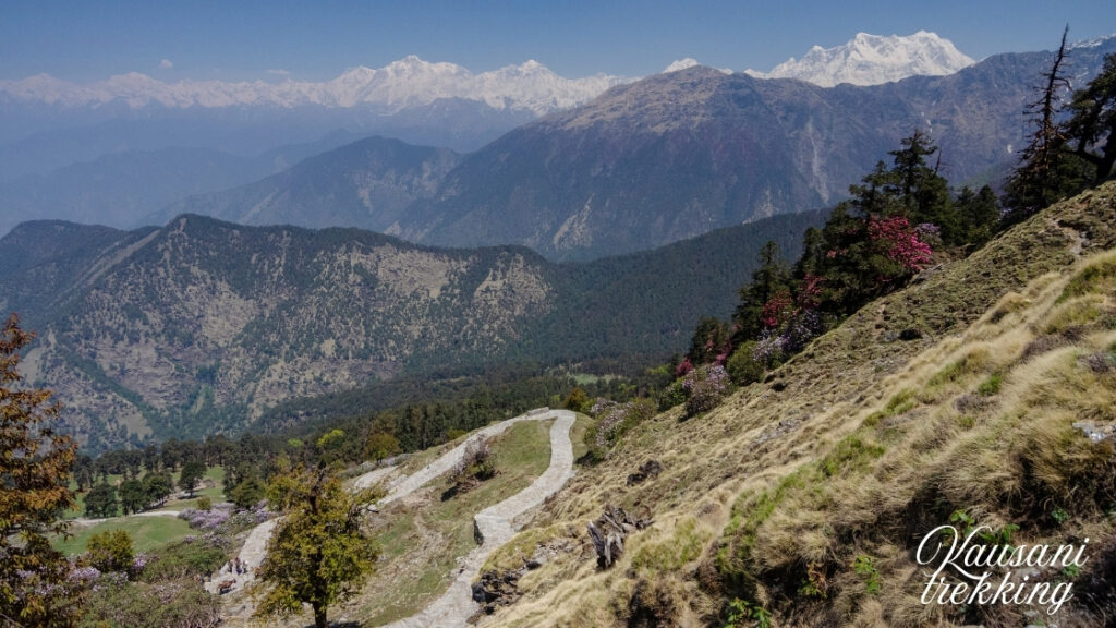 Kausani trekking 