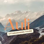 Auli