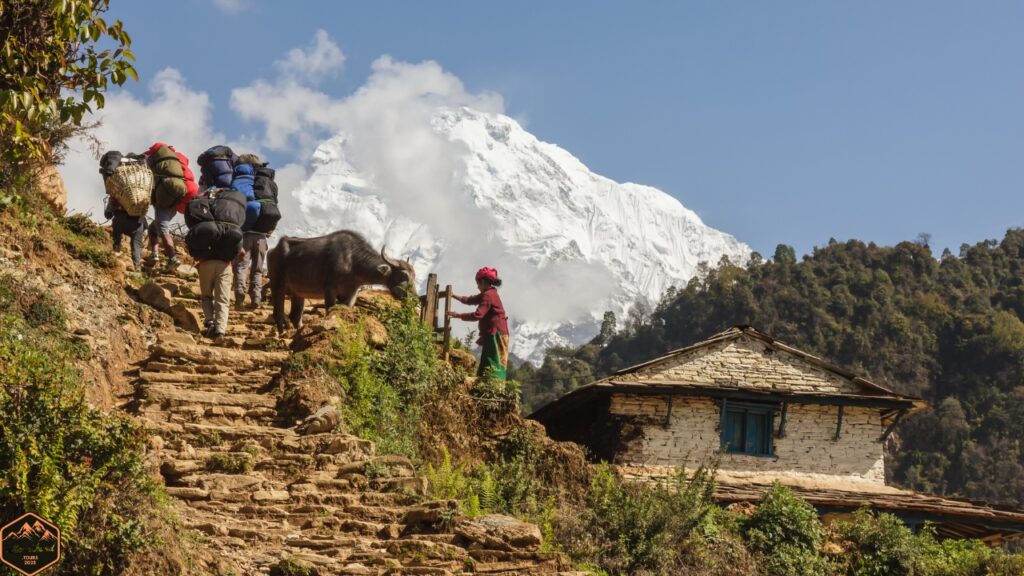 Rudranath Trek Difficulty Level
