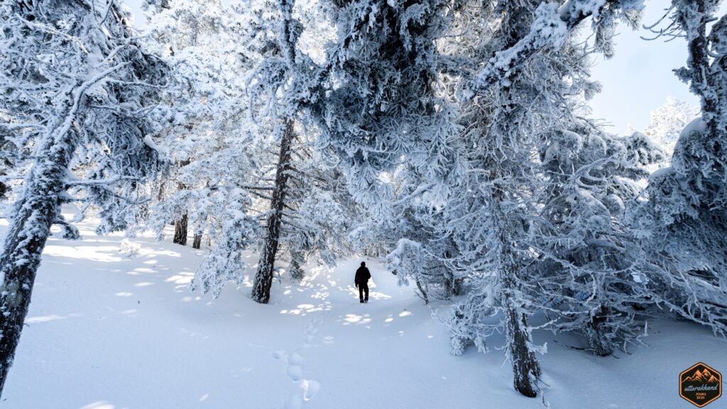 Best Time for Snow