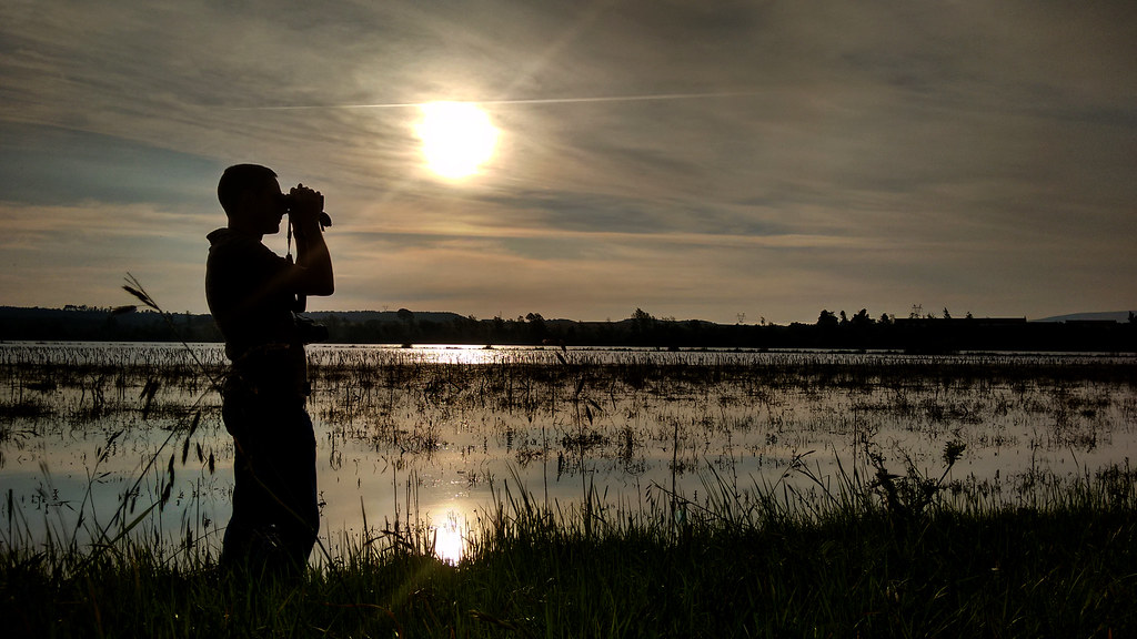 Birdwatching