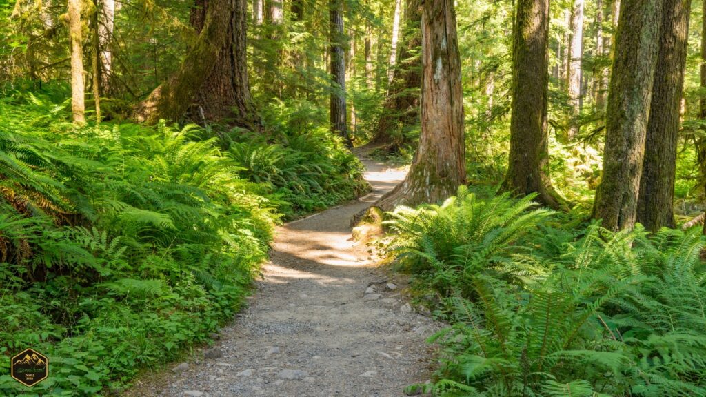 Hiking Trails in Lansdowne