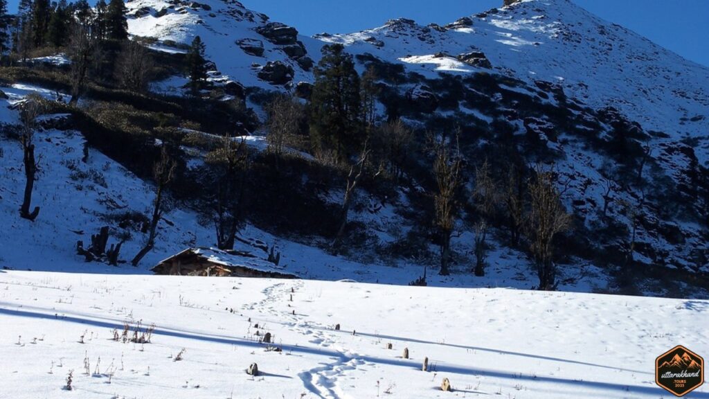 Kedarkantha Trek