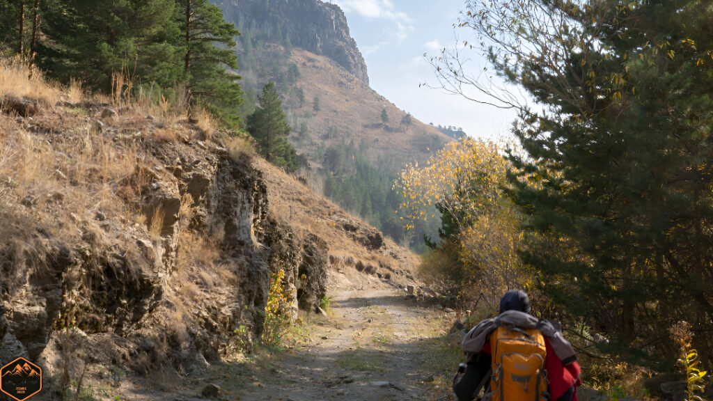 Rudranath Trek
