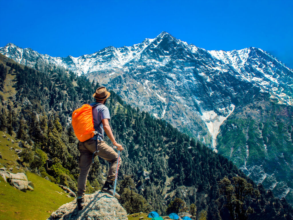 Rudranath Trek