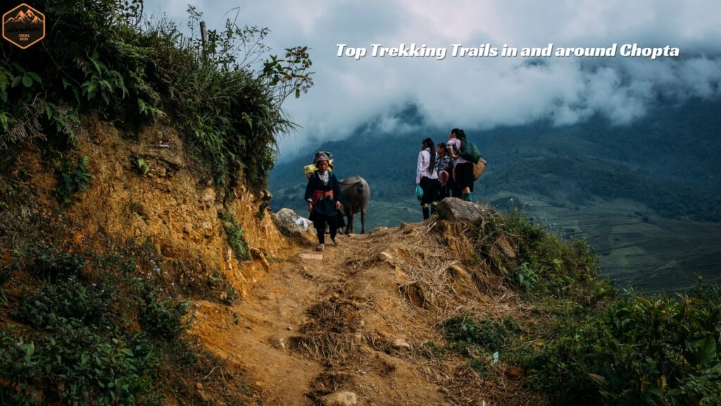 Top Trekking Trails in and around Chopta
