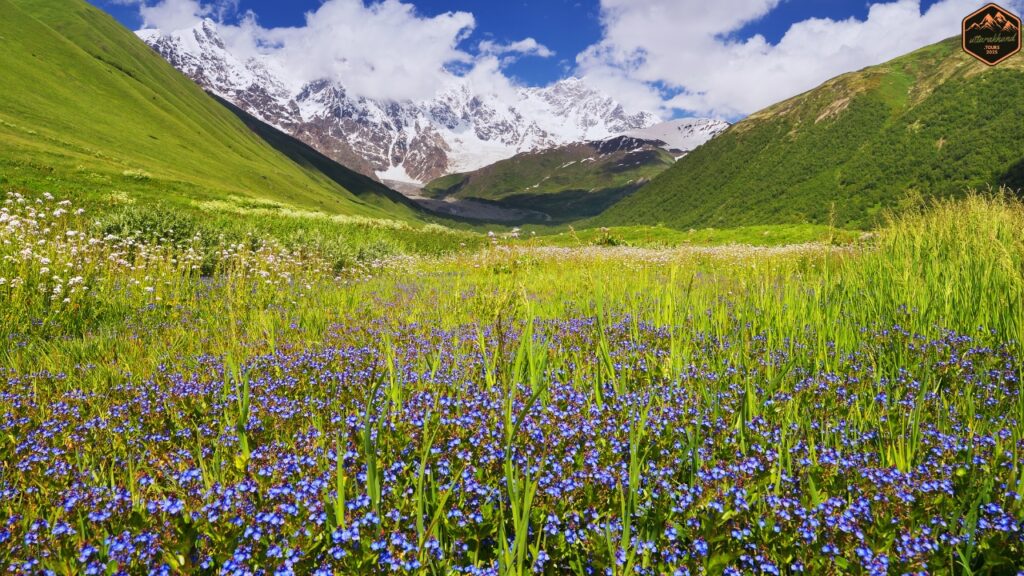 Valley of Flowers, Uttarakhand