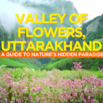 Valley of Flowers, Uttarakhand