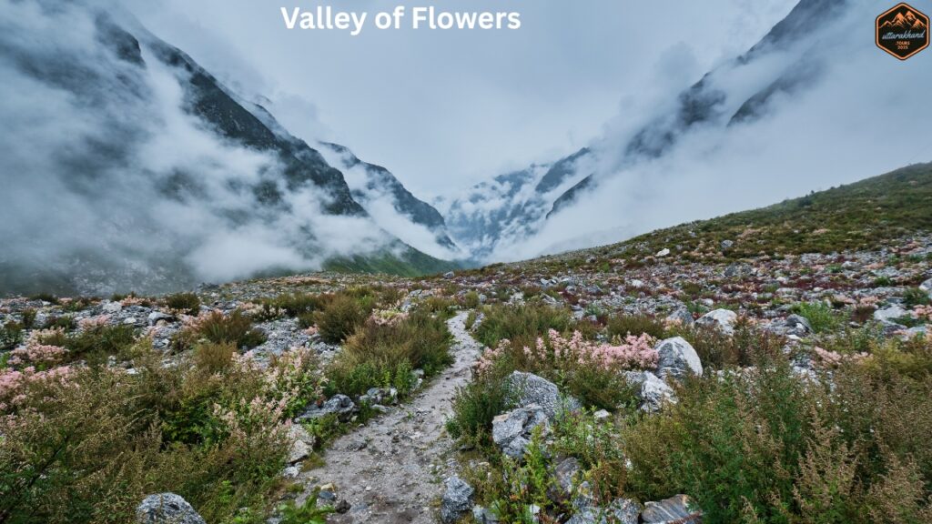 Valley of Flowers