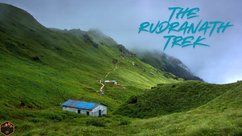 The Rudranath Trek