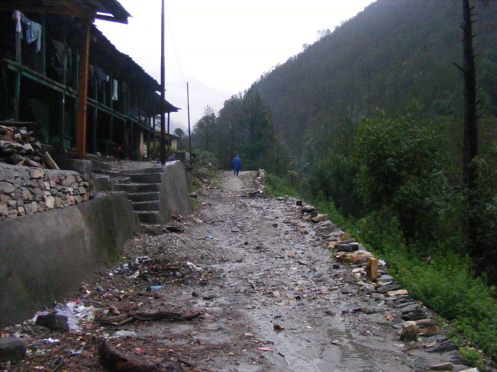 Dhaula 