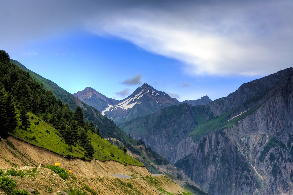 Flora, Fauna, and Scenic Highlights