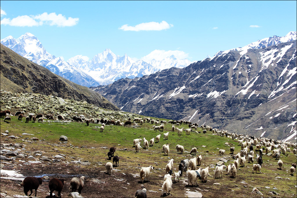 Jhaka 