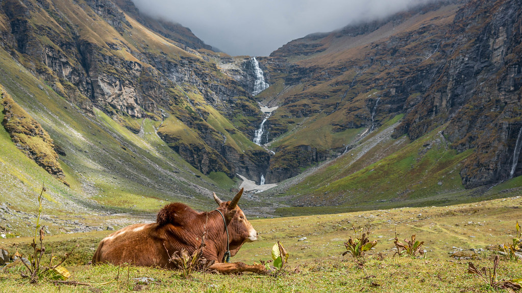 The Ideal Time To Visit Rupin Pass Trek