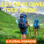 Valley of Flowers Trek Guide
