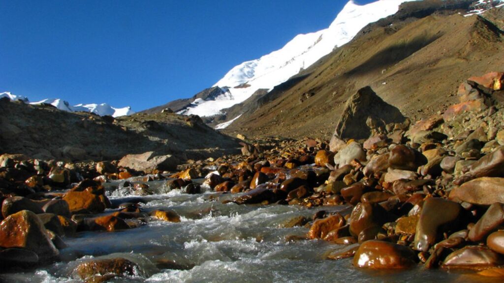 Auden Col Base