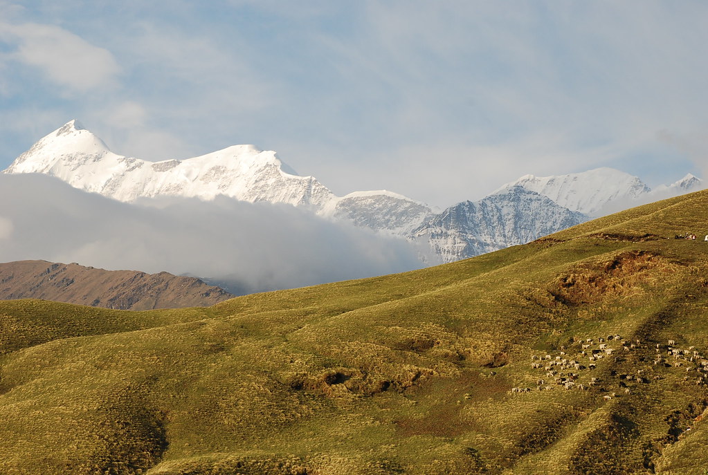 Bedni Bugyal Trek 2025