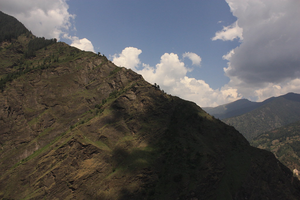Dhaula 