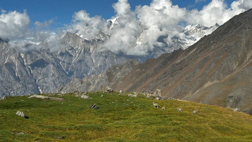 Rudugaira Base Camp
