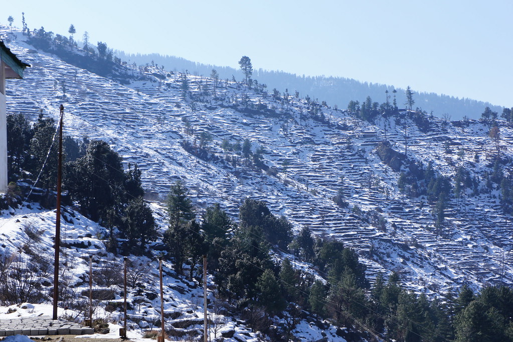 Sankri 