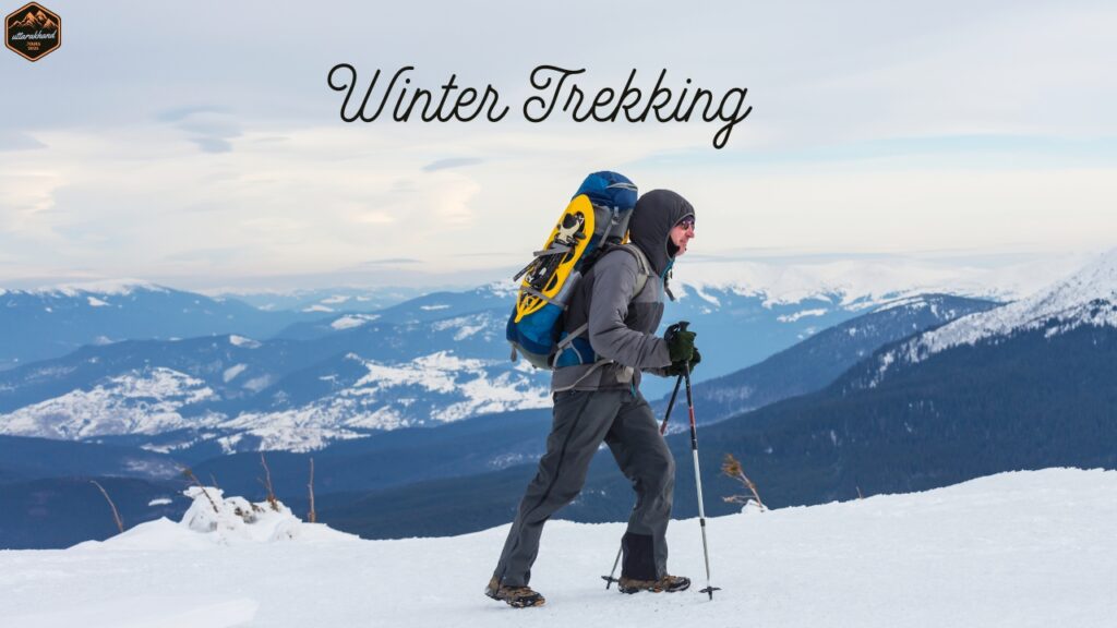 Winter Trekking