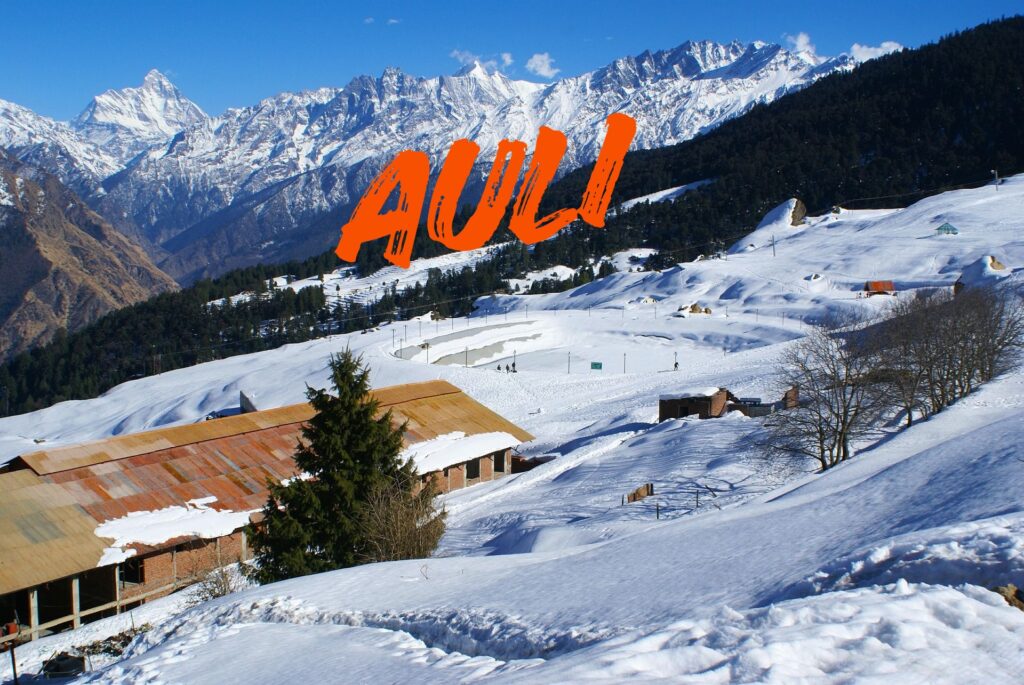 Auli