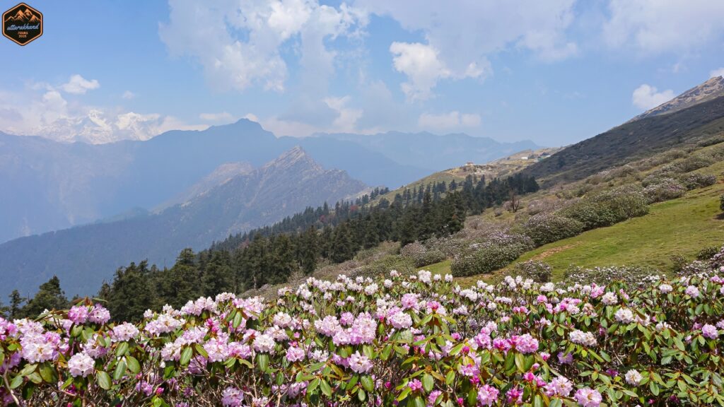 Chopta