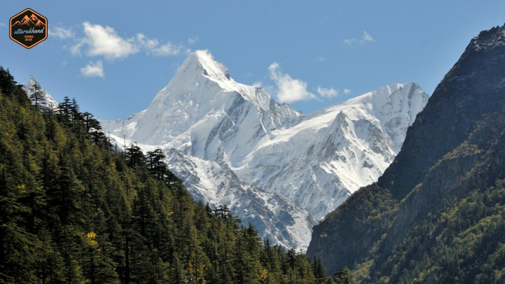 Gangotri National Park