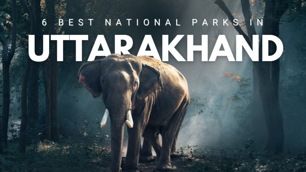 National Parks in Uttarakhand