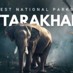 National Parks in Uttarakhand