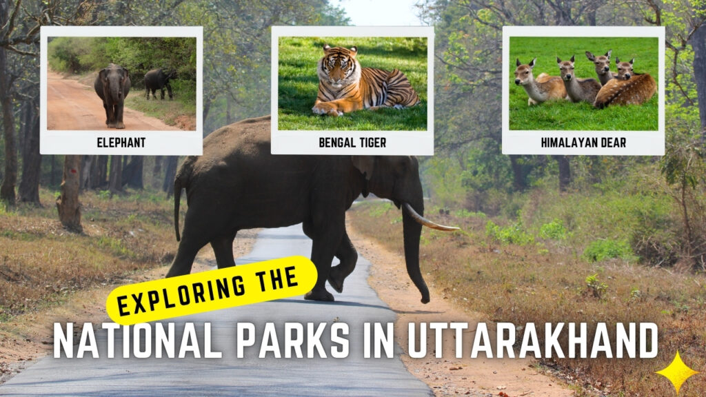 National Parks in Uttarakhand