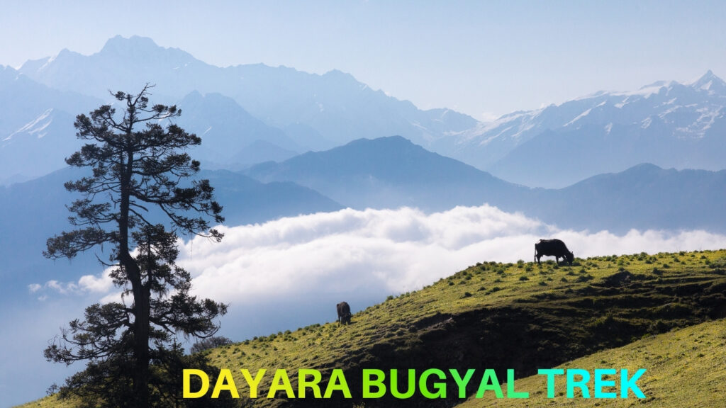 Dayara Bugyal Trek
