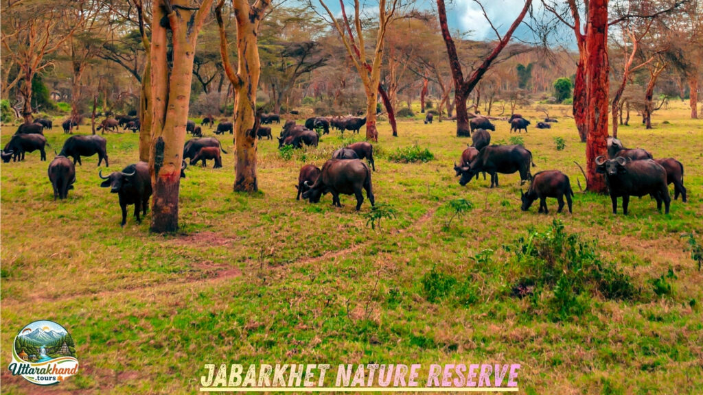 Jabarkhet Nature Reserve