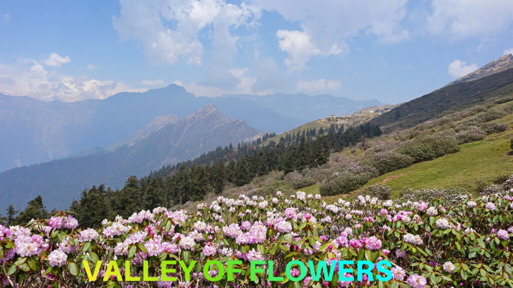 Valley of Flowers Trek