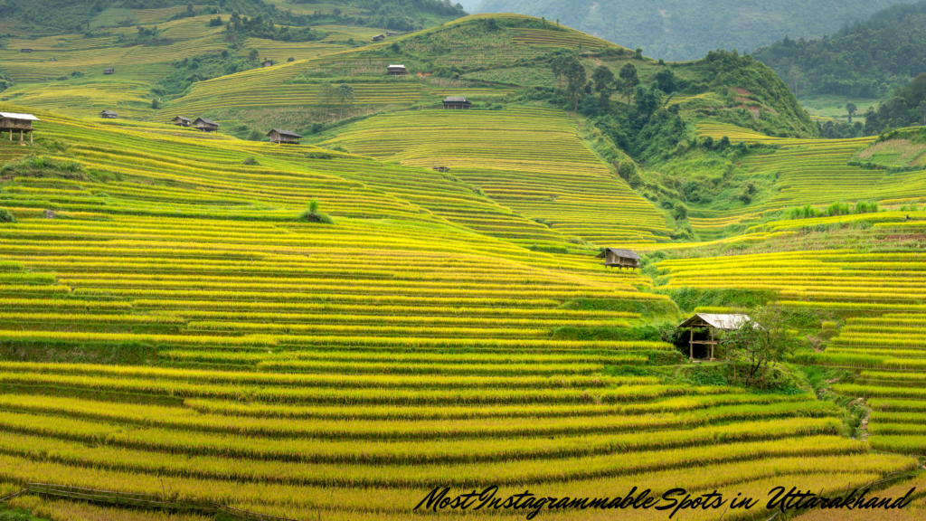 Most Instagrammable Spots in Uttarakhand