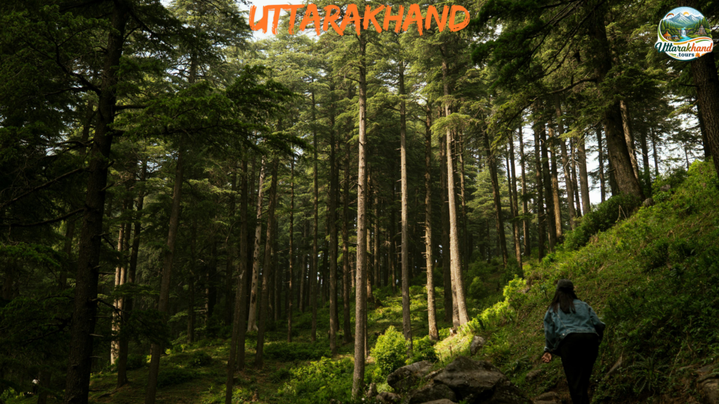 Why Nainital Stays With You