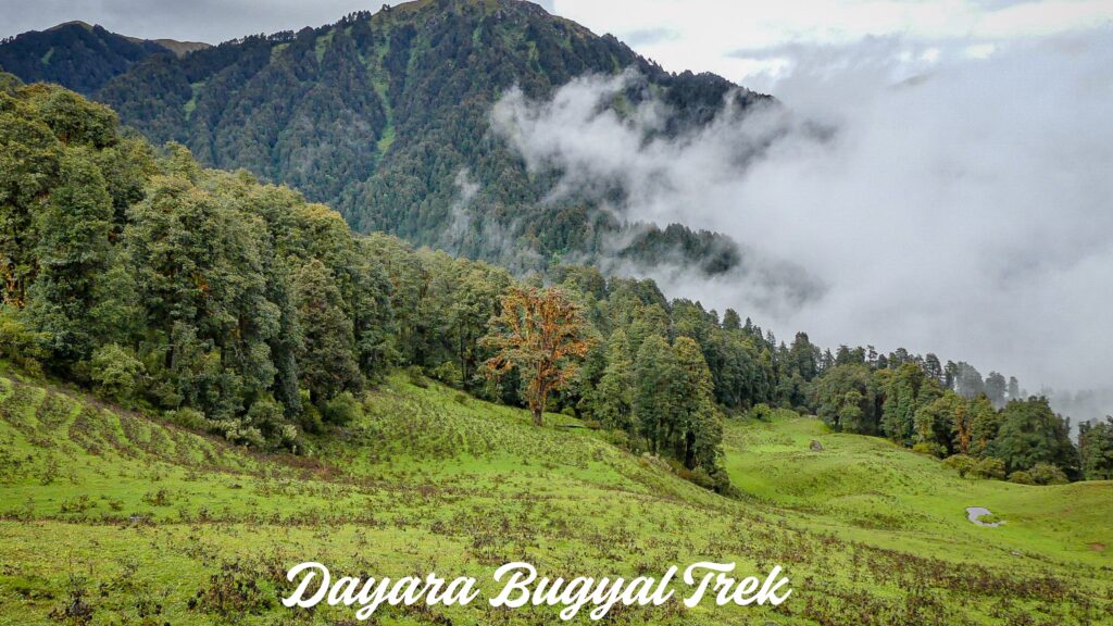 Dayara Bugyal Trek