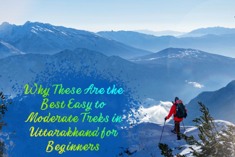 Why These Are the Best Easy to Moderate Treks in Uttarakhand for Beginners