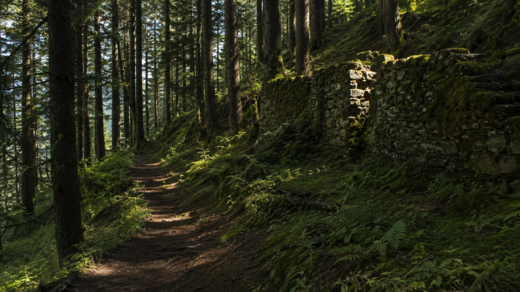 Almora’s Ridge Remnants