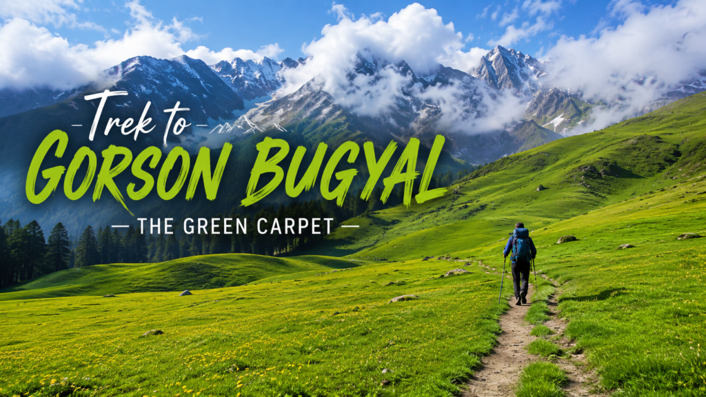 Trek to Gorson Bugyal, The Green Carpet