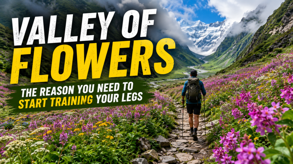 Valley of Flowers